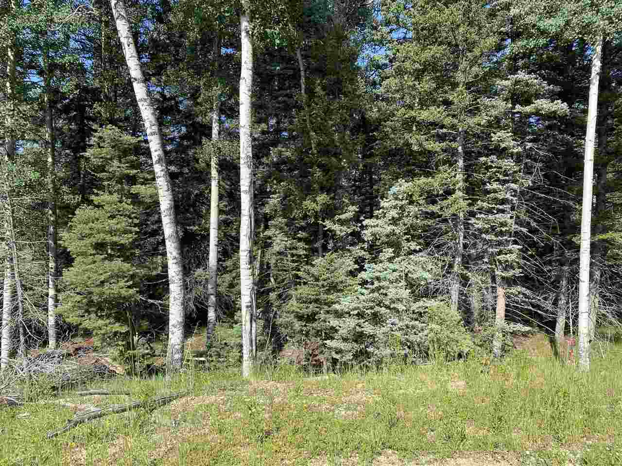 Lot 188 Meadow Glen, Angel Fire, New Mexico image 13