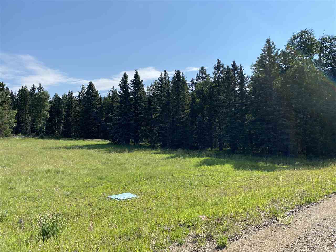 Lot 188 Meadow Glen, Angel Fire, New Mexico image 3