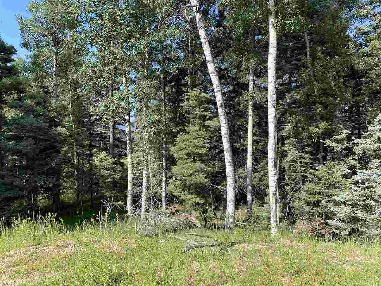 Lot 188 Meadow Glen, Angel Fire, New Mexico image 14