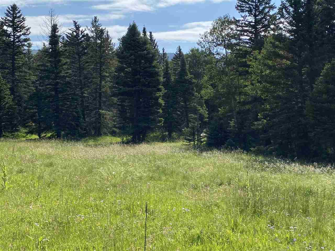 Lot 188 Meadow Glen, Angel Fire, New Mexico image 8