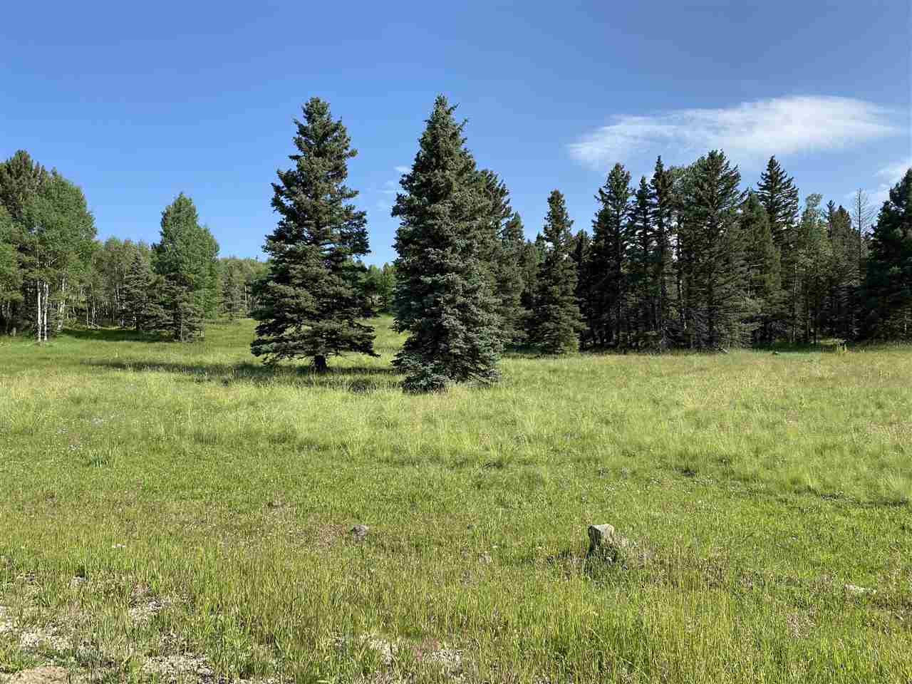 Lot 188 Meadow Glen, Angel Fire, New Mexico image 2