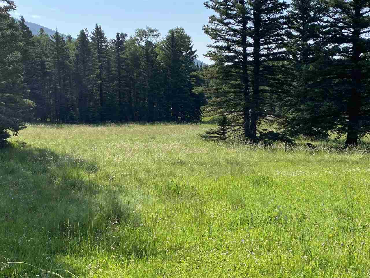 Lot 188 Meadow Glen, Angel Fire, New Mexico image 6