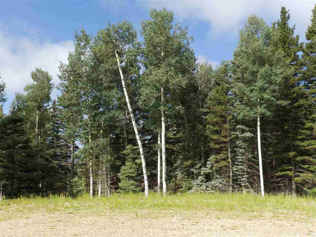 Lot 188 Meadow Glen, Angel Fire, New Mexico image 11