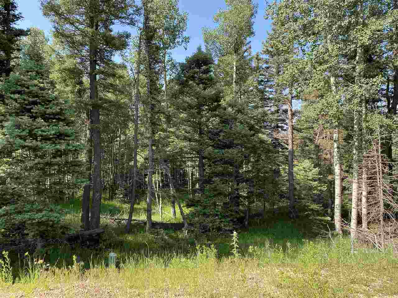 Lot 188 Meadow Glen, Angel Fire, New Mexico image 12