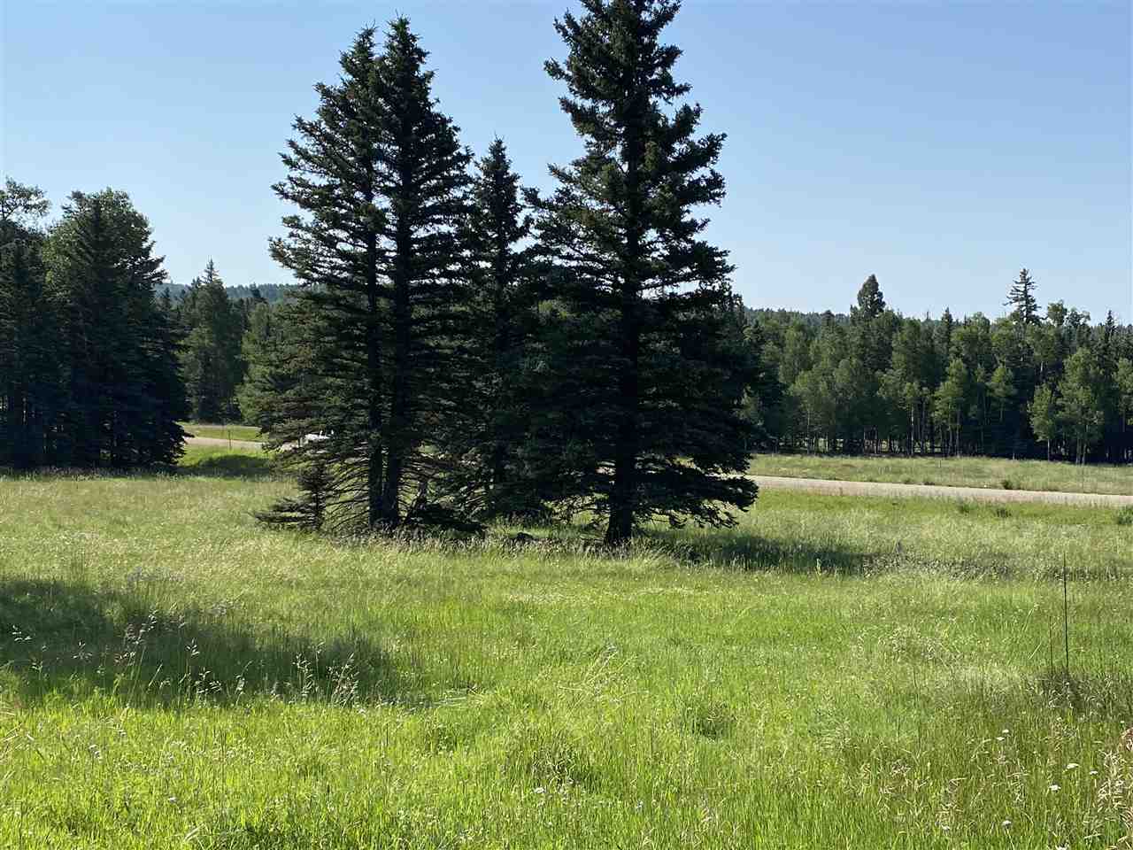Lot 188 Meadow Glen, Angel Fire, New Mexico image 7
