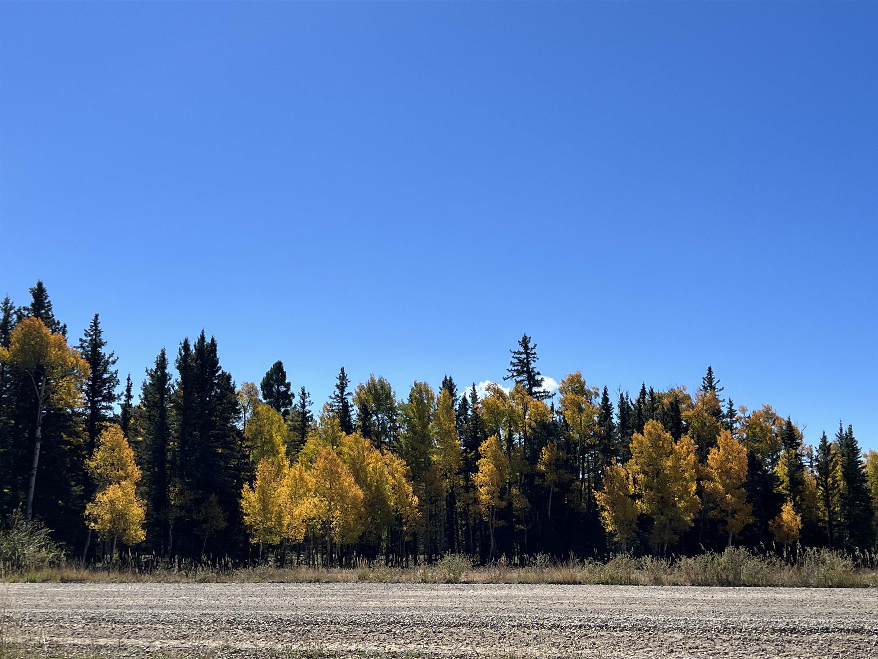 Lot 188 Meadow Glen, Angel Fire, New Mexico image 18