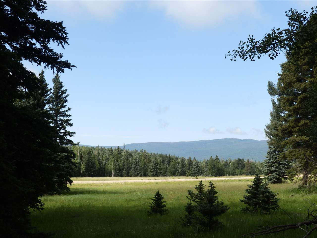 Lot 188 Meadow Glen, Angel Fire, New Mexico image 16
