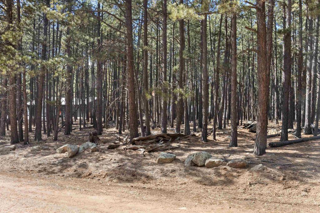 Photo of Lot 3 Knollwood Way, Angel Fire, NM 87710 (MLS # 114628)