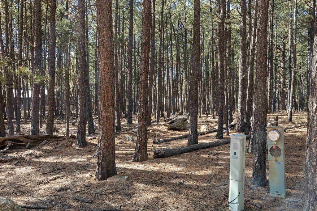 Photo of Lot 3 Knollwood Way, Angel Fire, NM 87710 (MLS # 114628)