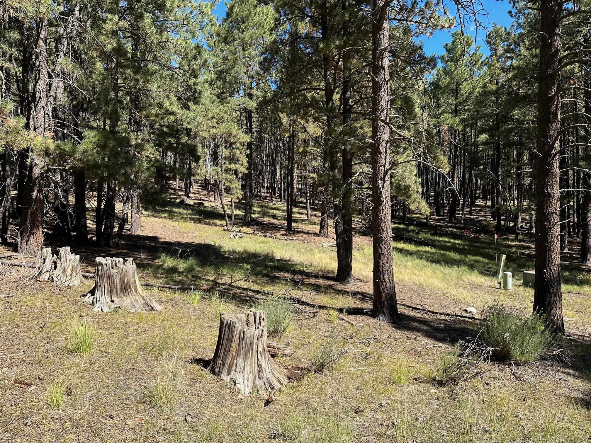 Lot 7 Blk D St Andrews Way, Angel Fire, New Mexico image 2