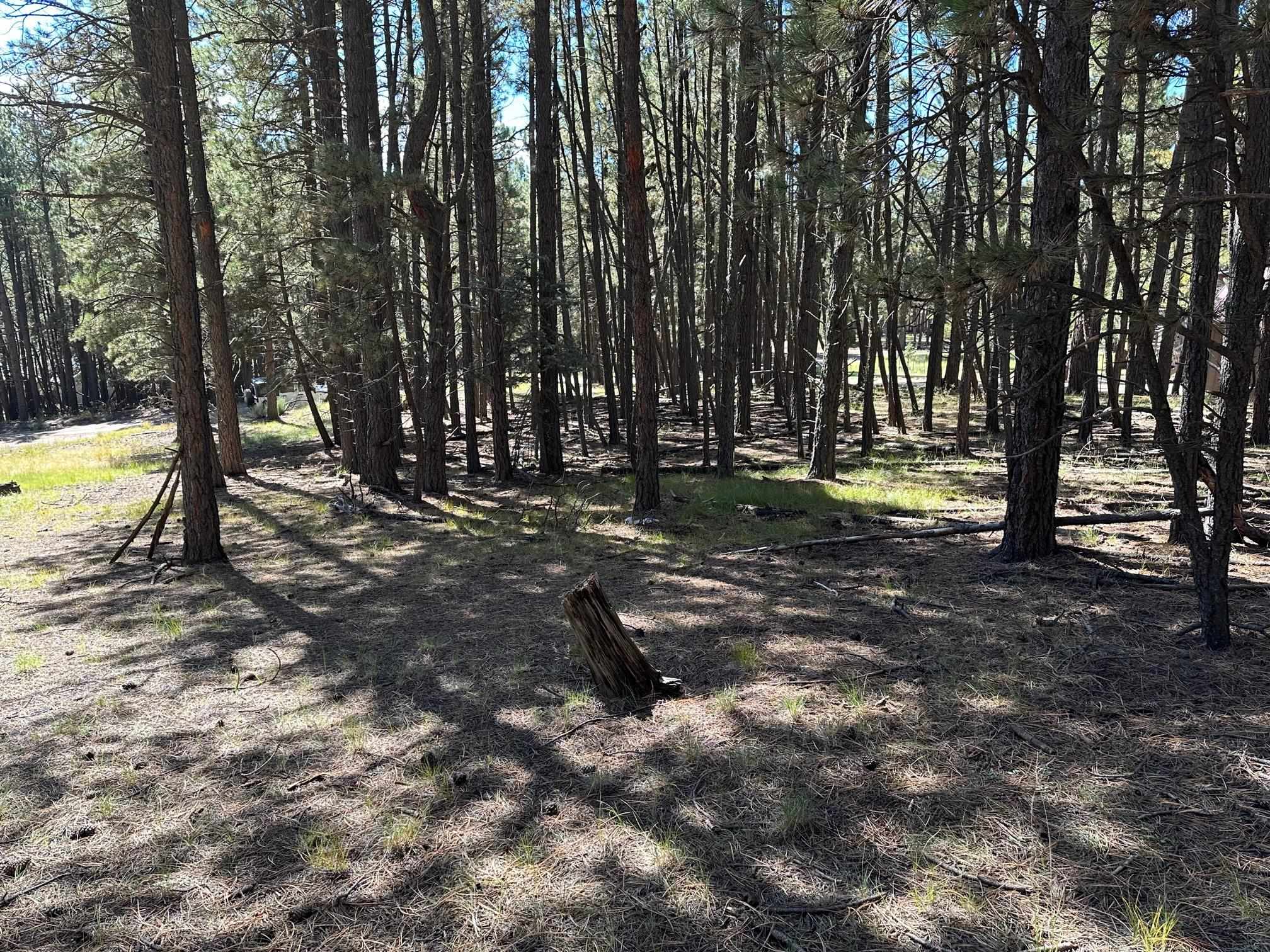 Lot 7 Blk D St Andrews Way, Angel Fire, New Mexico image 6