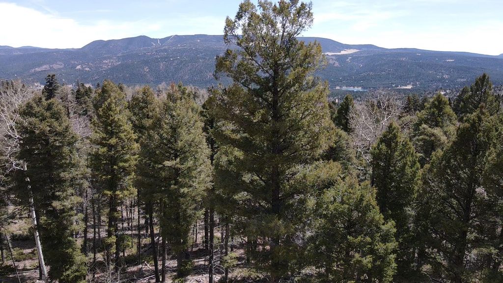 Photo of Lot 101 Zia Rd, Angel Fire, NM 87710 (MLS # 113165)