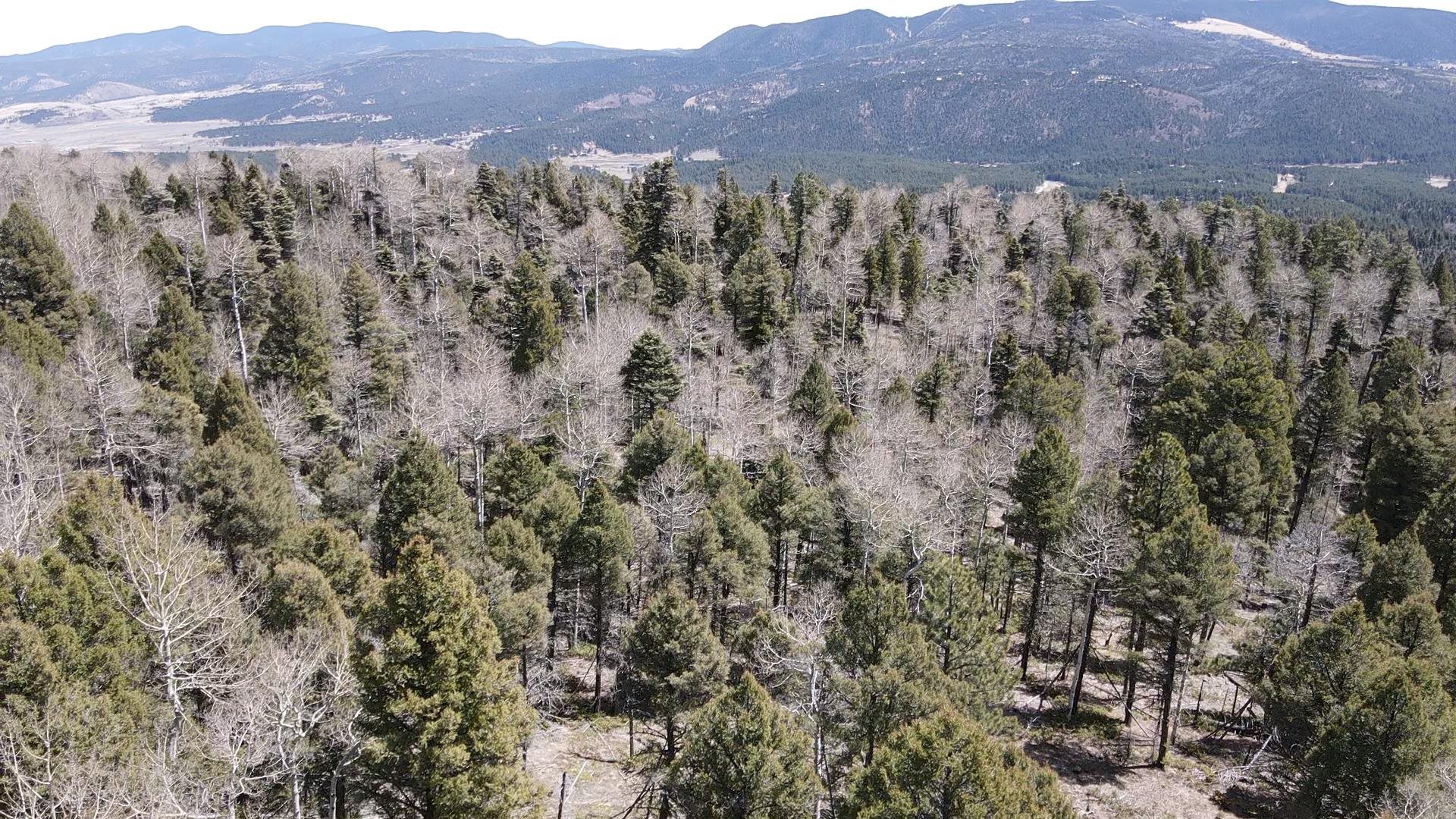 Lot 101 Zia Rd, Angel Fire, New Mexico image 4