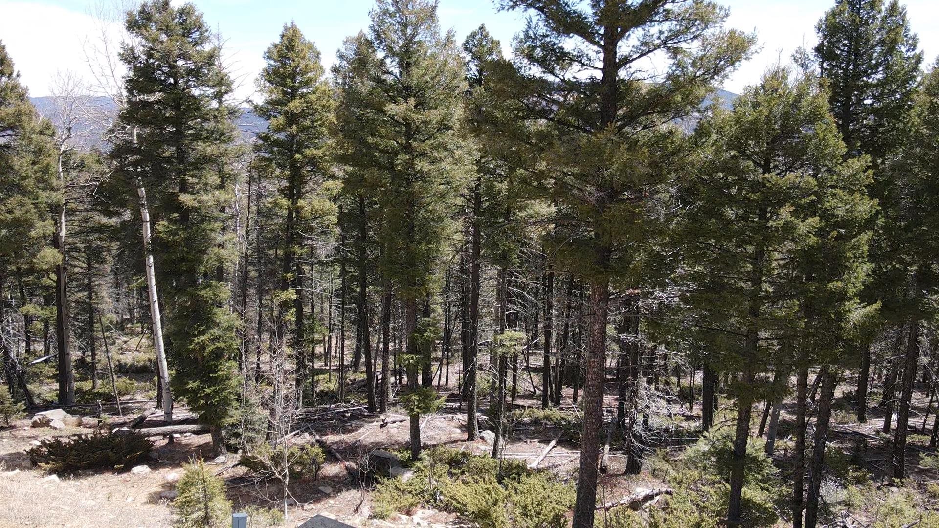 Lot 101 Zia Rd, Angel Fire, New Mexico image 2