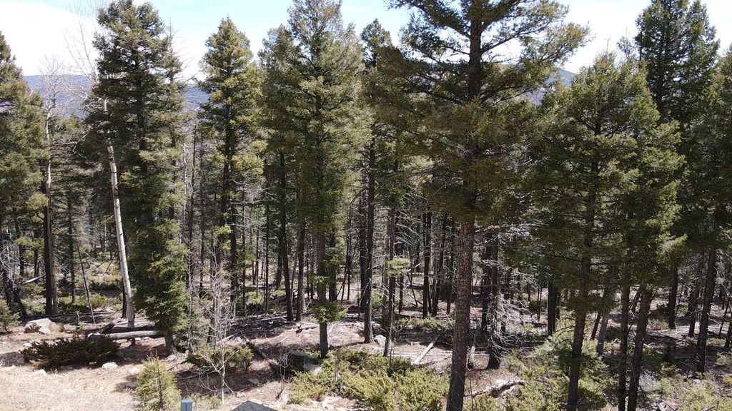 Photo of Lot 101 Zia Rd, Angel Fire, NM 87710 (MLS # 113165)