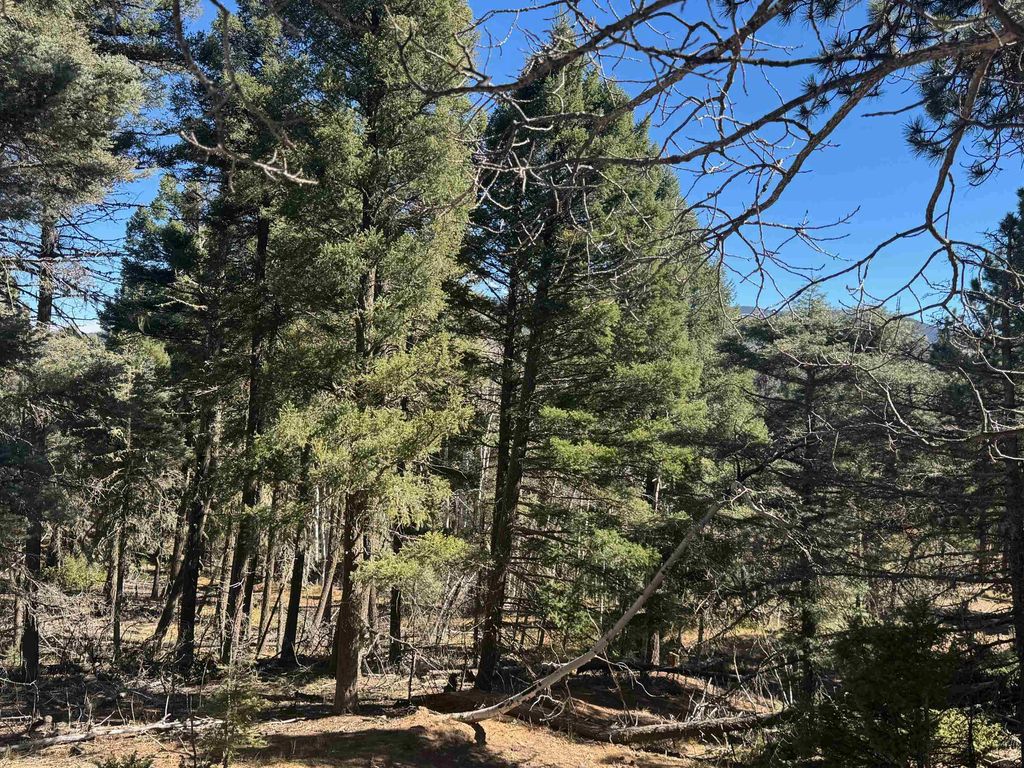 Photo of Lot 173 Taos Dr, Angel Fire, NM 87710 (MLS # 114162)
