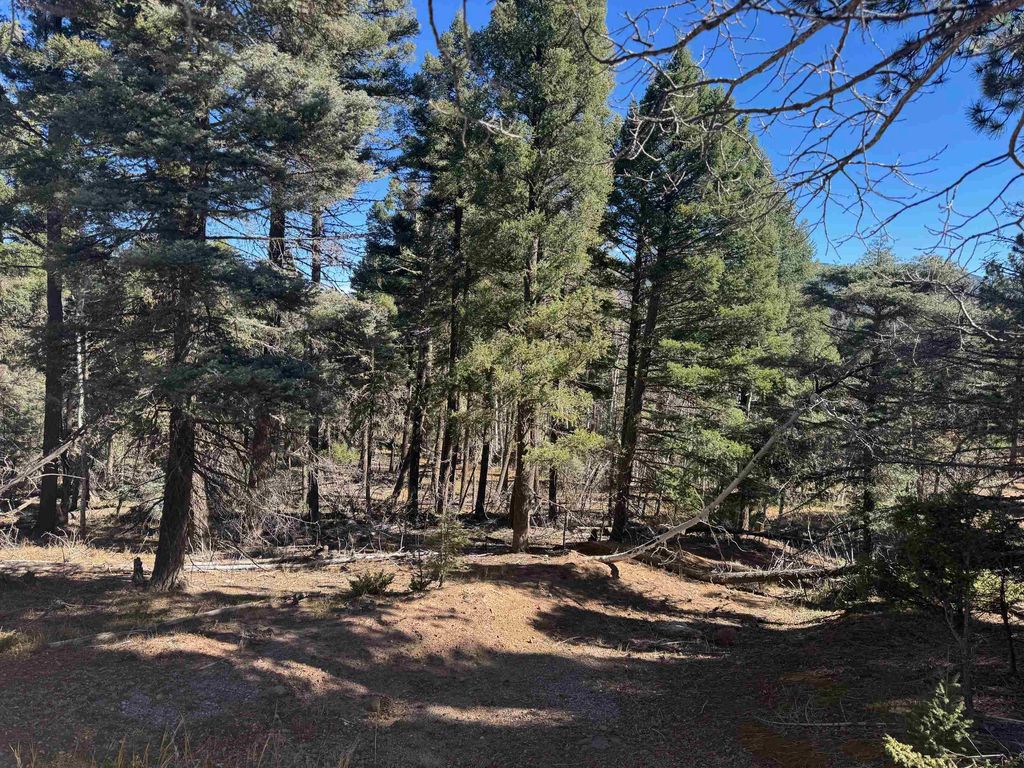 Photo of Lot 173 Taos Dr, Angel Fire, NM 87710 (MLS # 114162)