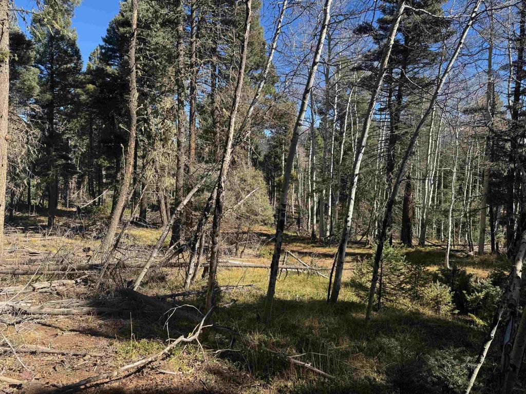Photo of Lot 173 Taos Dr, Angel Fire, NM 87710 (MLS # 114162)