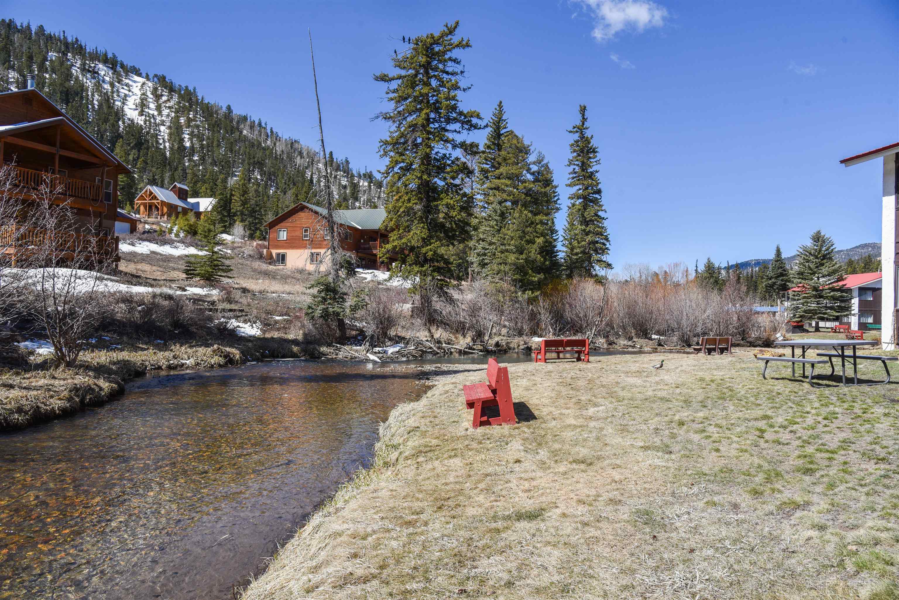 1301 Main Street #5-3, Red River, New Mexico image 10