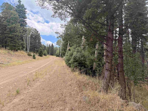Vacant Land For Sale - LOT 1311 Pleasant Valley Overlook<br/> Angel Fire, NM 87710