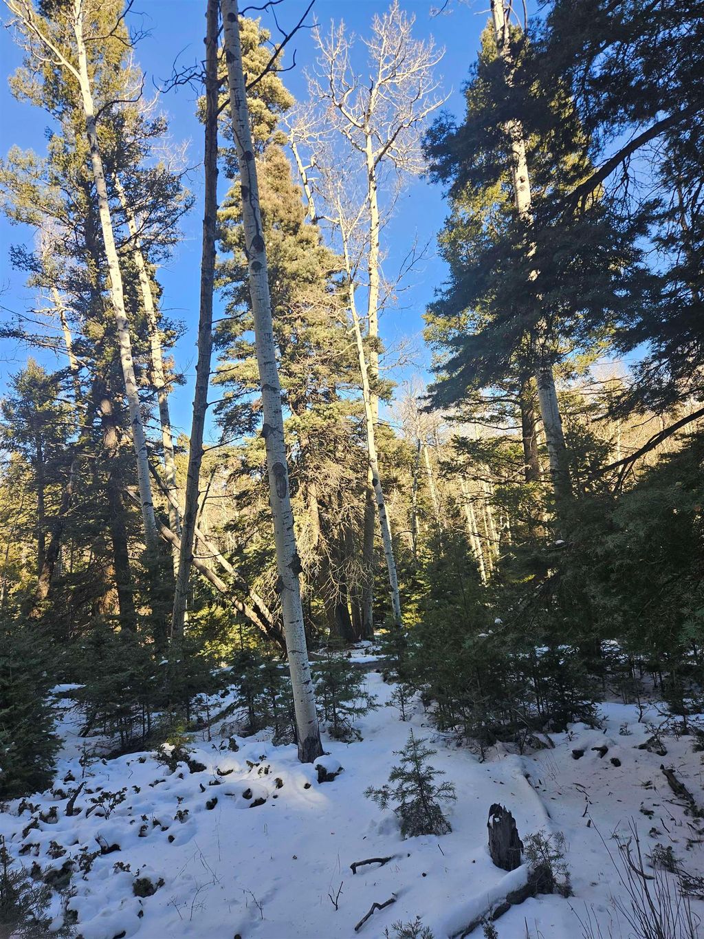 Photo of 159 back basin Rd, Angel Fire, NM 87710 (MLS # 110077)