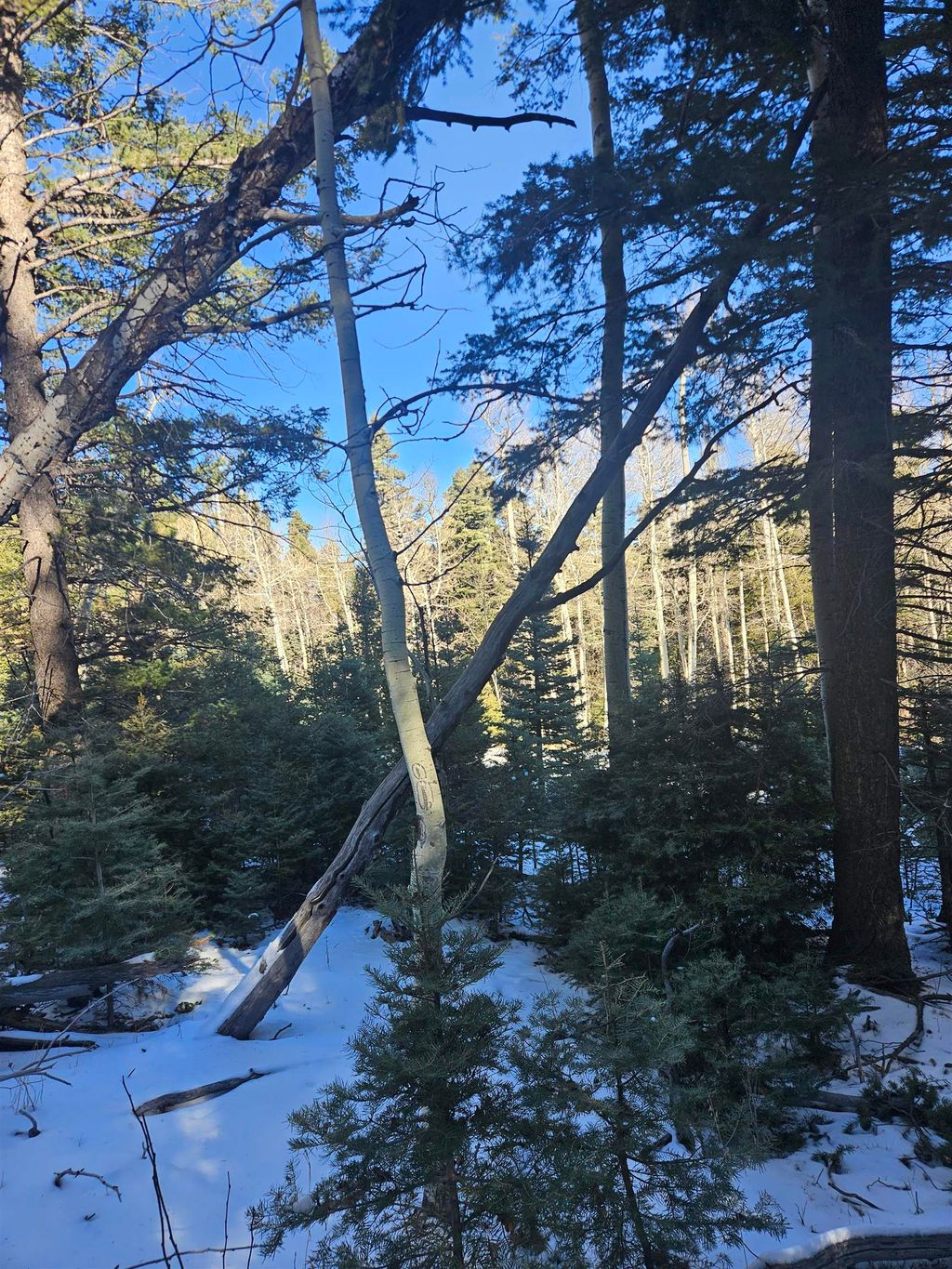 Photo of 159 back basin Rd, Angel Fire, NM 87710 (MLS # 110077)