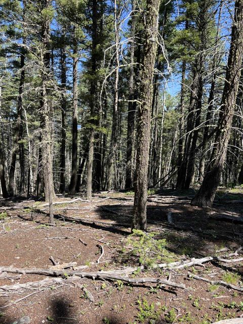 Photo of Lot 14 Back Basin Road, Angel Fire, NM 87710 (MLS # 113746)