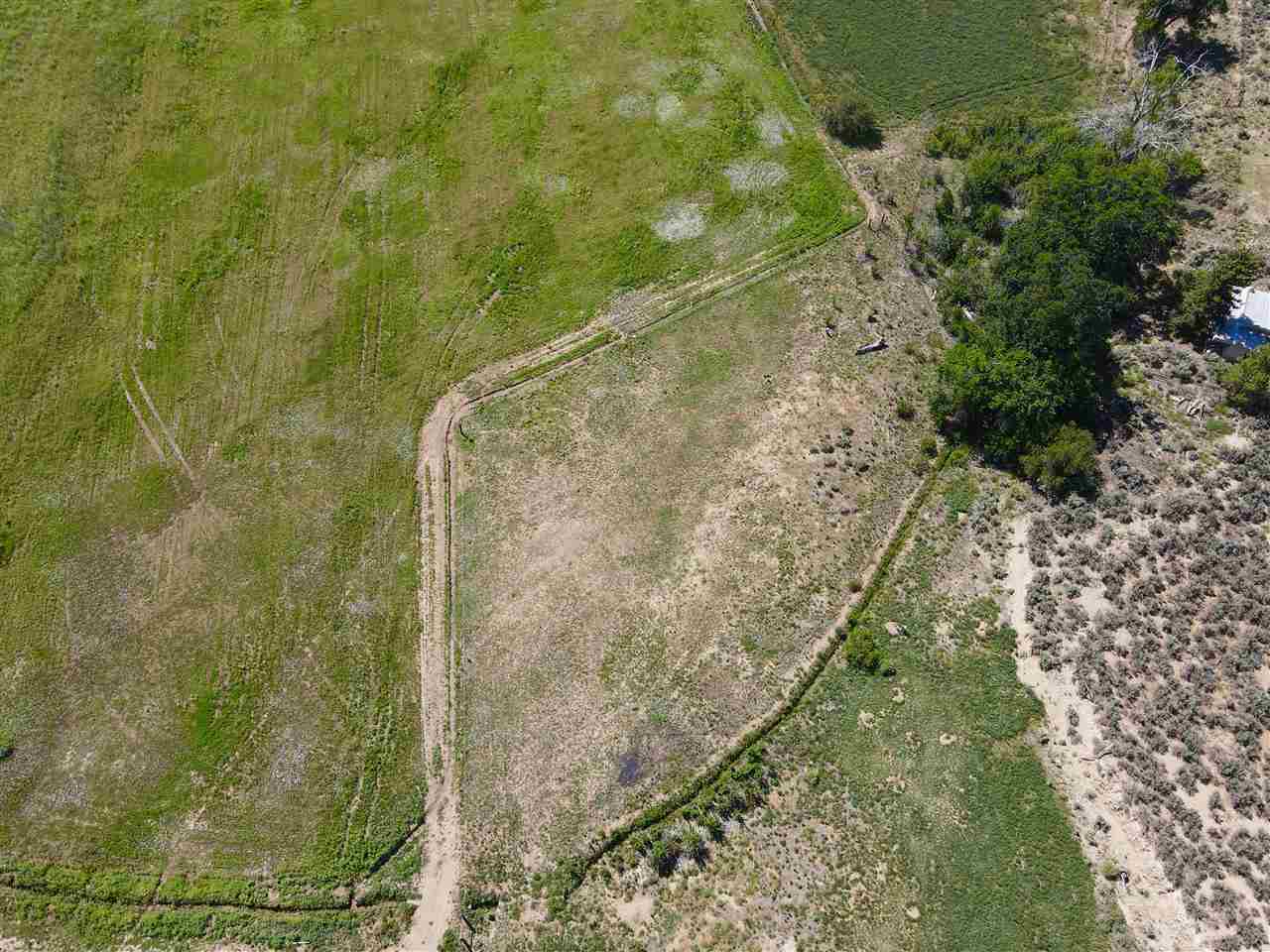 1561 Millicent Rogers Road, El Prado, New Mexico image 4