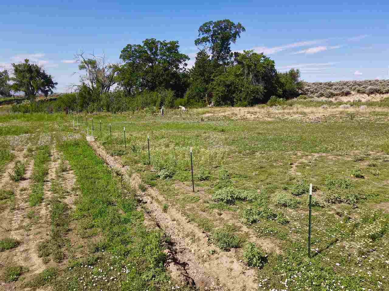 1561 Millicent Rogers Road, El Prado, New Mexico image 7