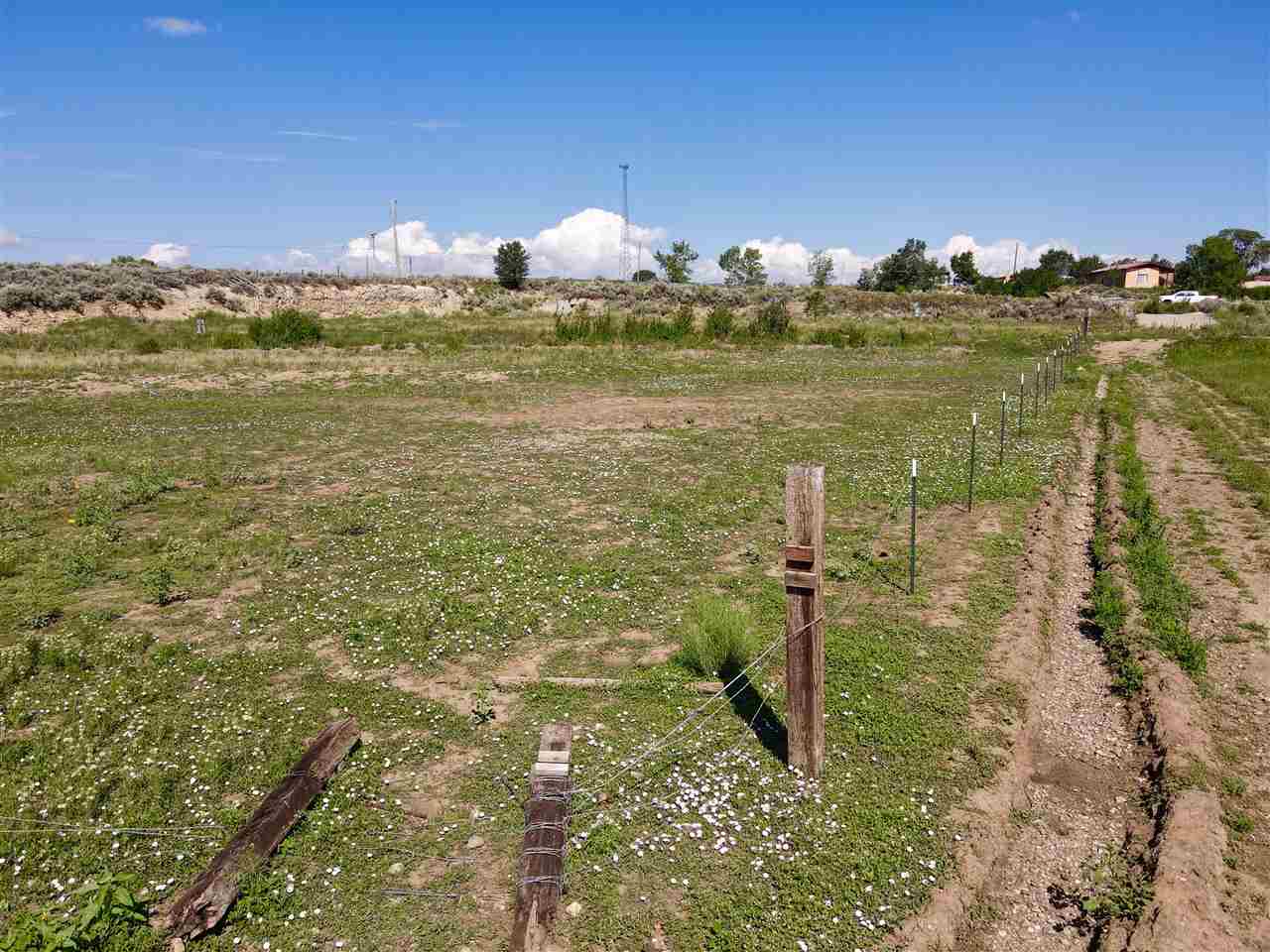 1561 Millicent Rogers Road, El Prado, New Mexico image 6