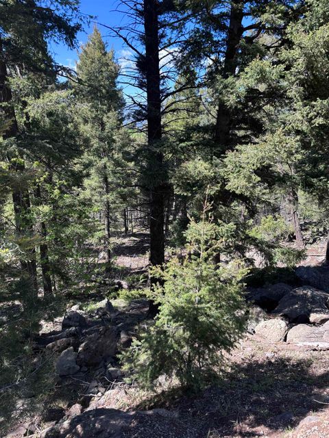 Photo of Lot 1144 Panorama Way, Angel Fire, NM 87710 (MLS # 113516)
