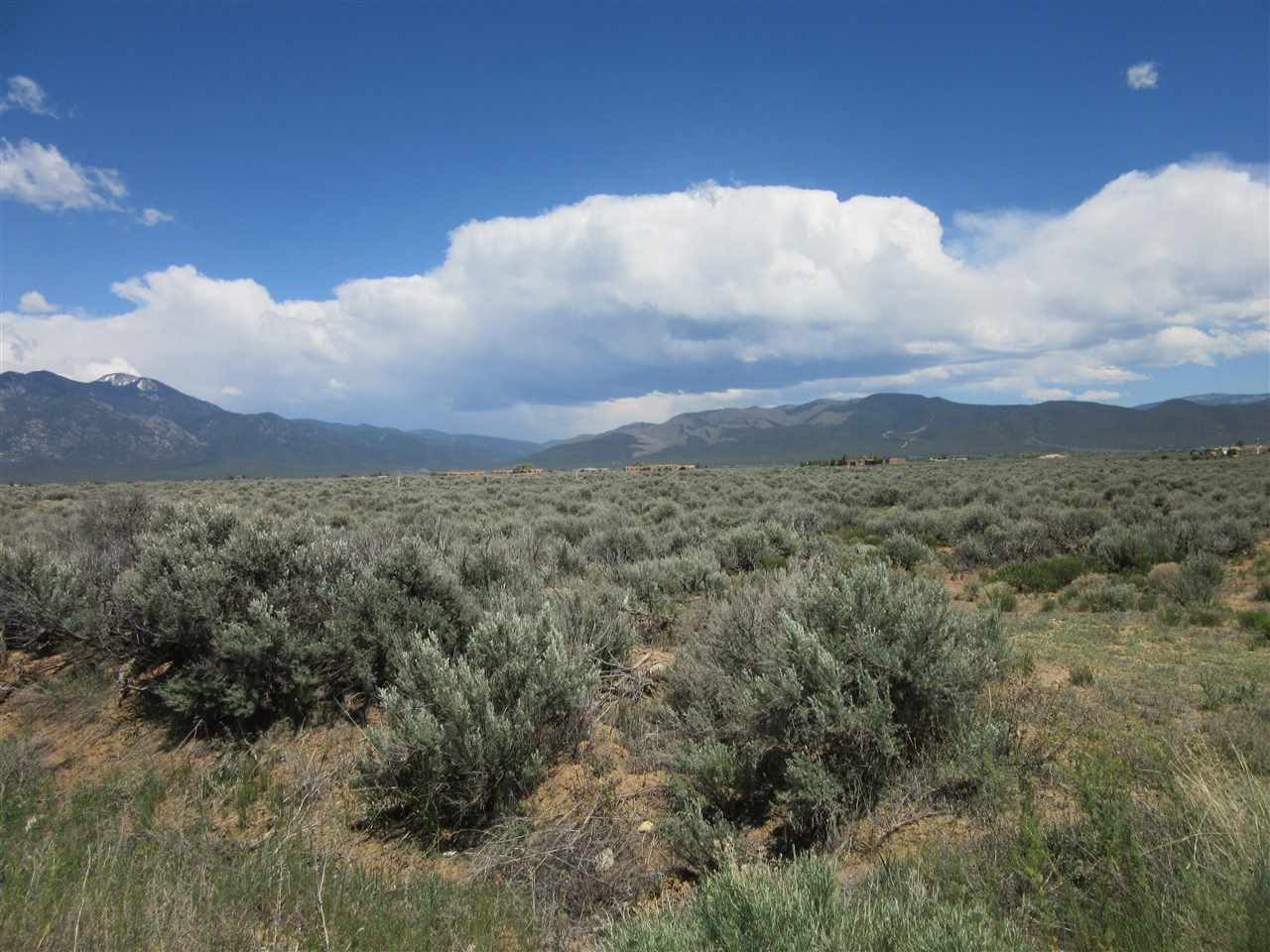 Blueberry Hill, Taos, New Mexico image 2