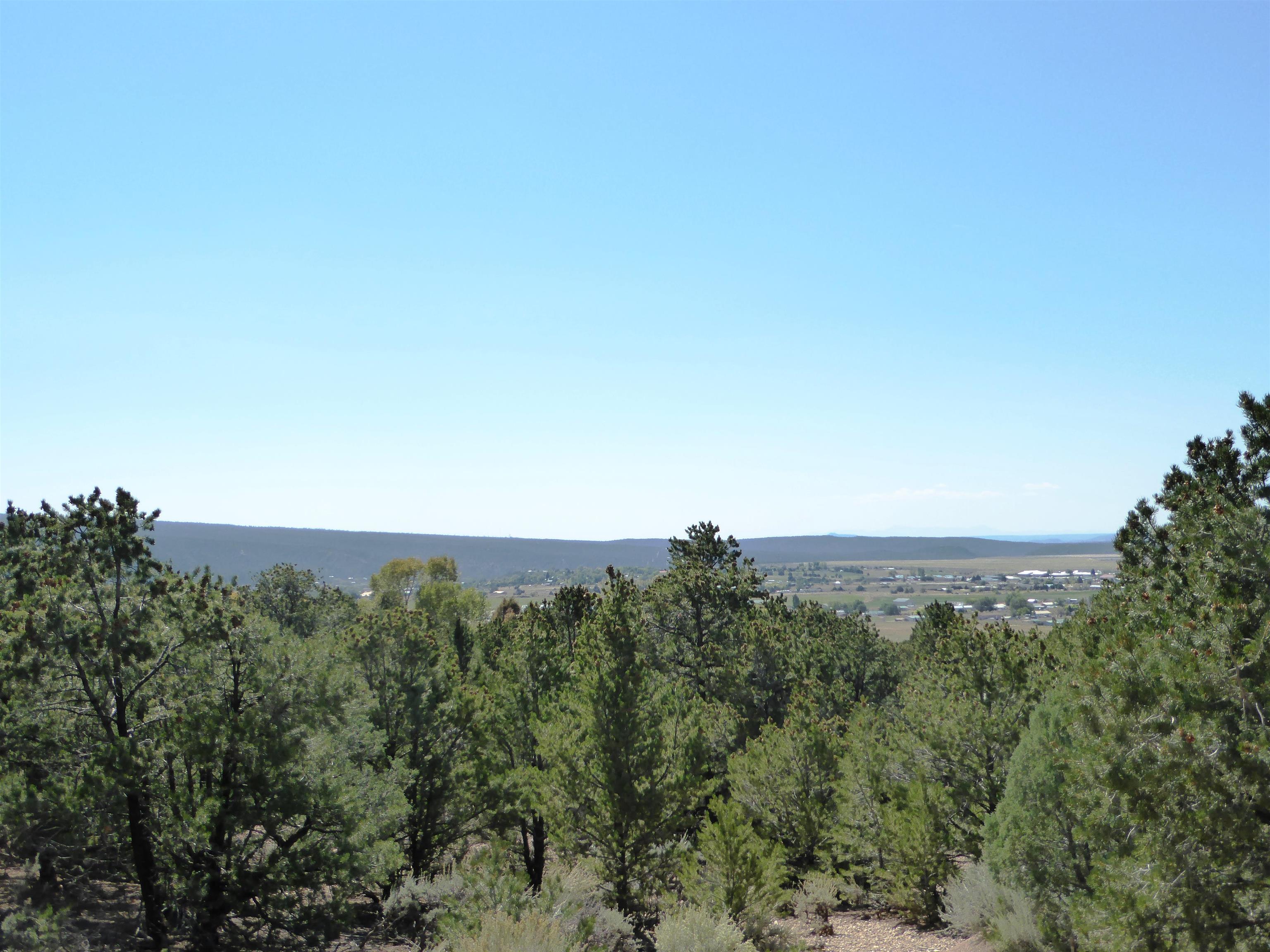 121 Llano Road, Questa, New Mexico image 7