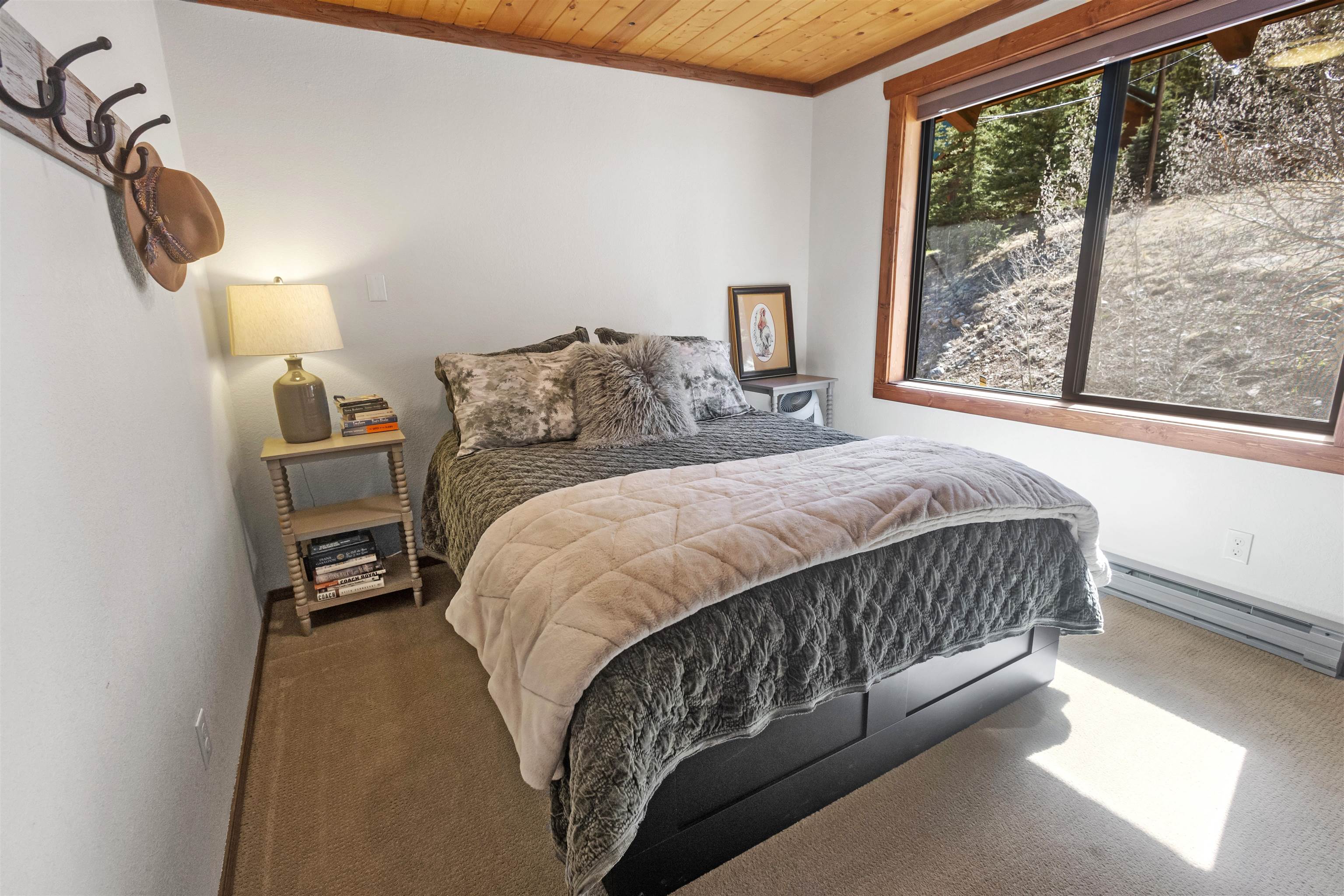 50 Valley Of The Pines, Red River, New Mexico image 9