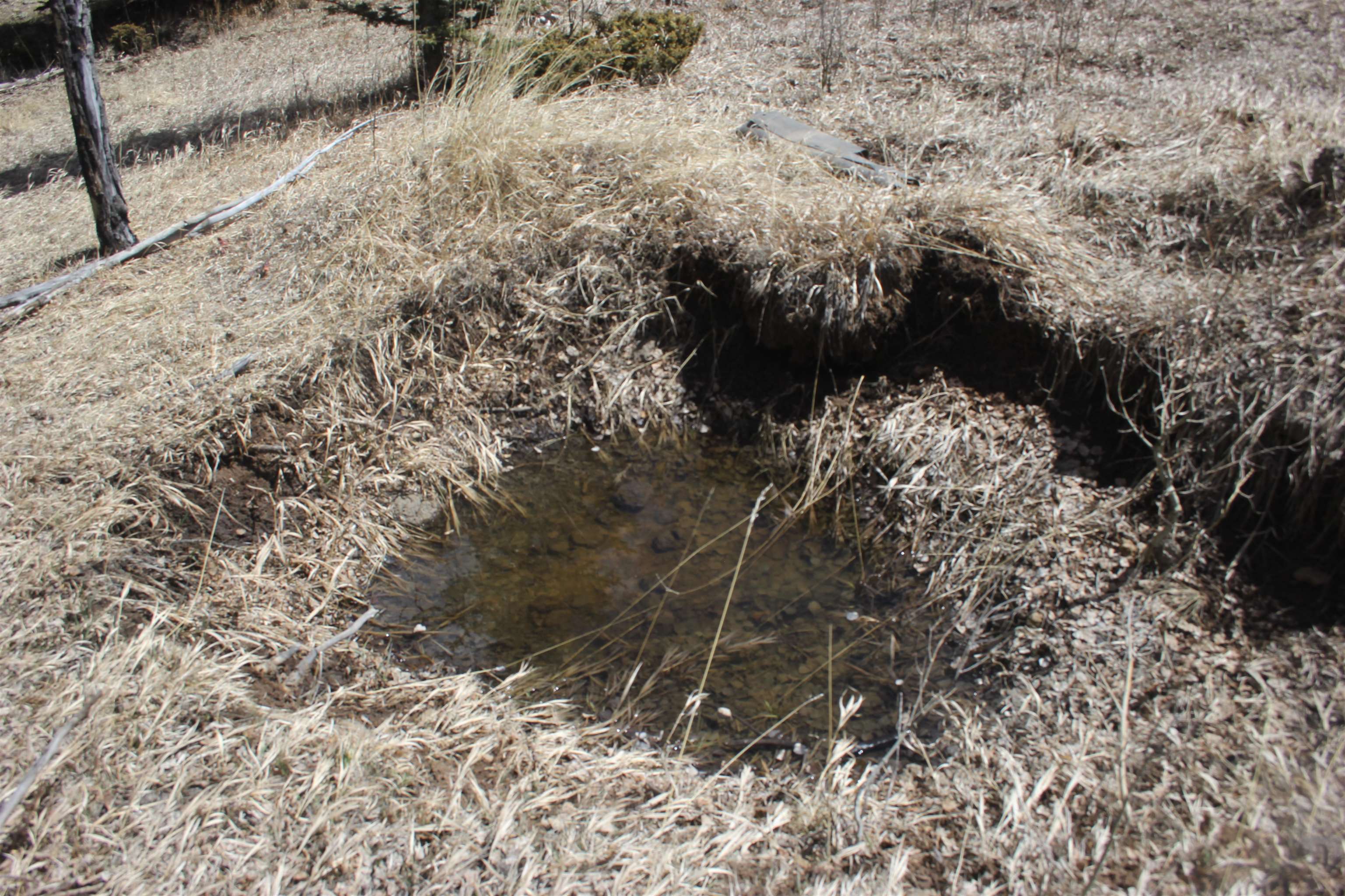 Lot 95 Elk Meadow, Angel Fire, New Mexico image 7