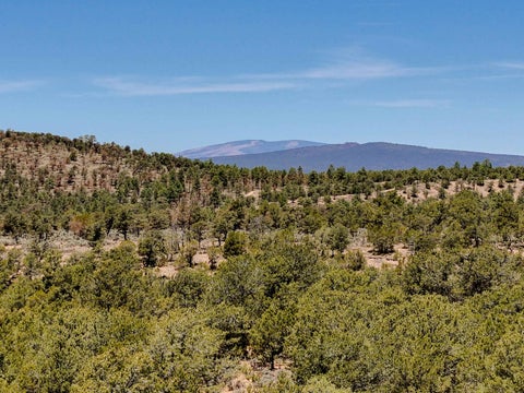 Vacant Land For Sale - Duval Road<br/> Taos County, Valdez, NM 87571