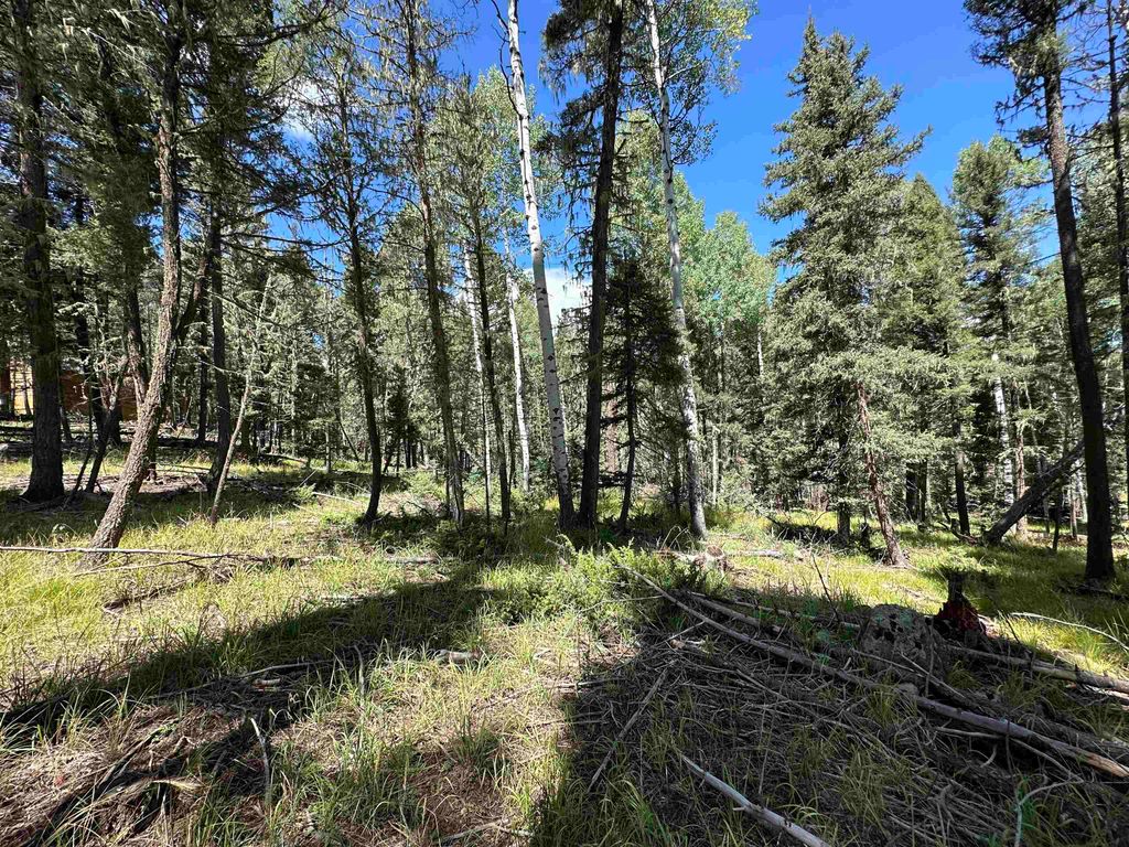 Photo of Lot 10 Alpine Lake Terrace, Angel Fire, NM 87710 (MLS # 112315)