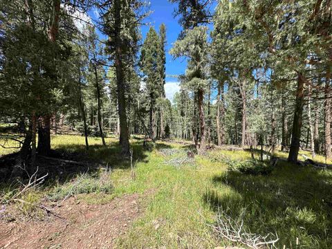 Photo of Lot 10 Alpine Lake Terrace, Angel Fire, NM 87710 (MLS # 112315)
