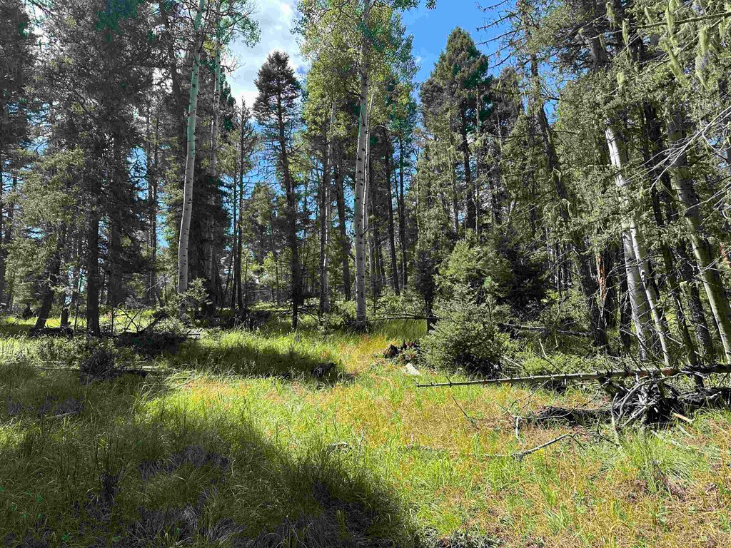 Photo of Lot 10 Alpine Lake Terrace, Angel Fire, NM 87710 (MLS # 112315)