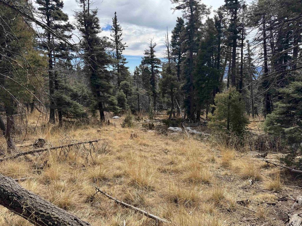 Photo of Lot 1356 Skyview Way, Angel Fire, NM 87710 (MLS # 114667)