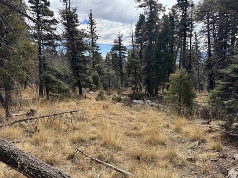 Vacant Land For Sale - LOT 1356 Skyview Way<br/> Angel Fire, NM 87710