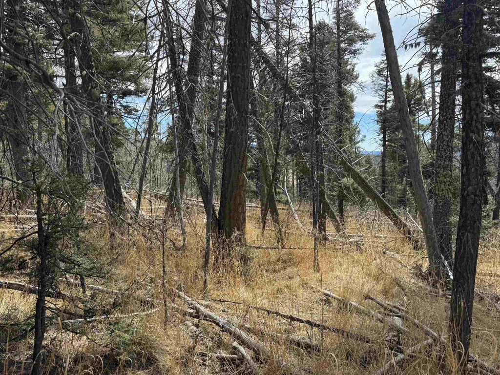 Photo of Lot 1356 Skyview Way, Angel Fire, NM 87710 (MLS # 114667)