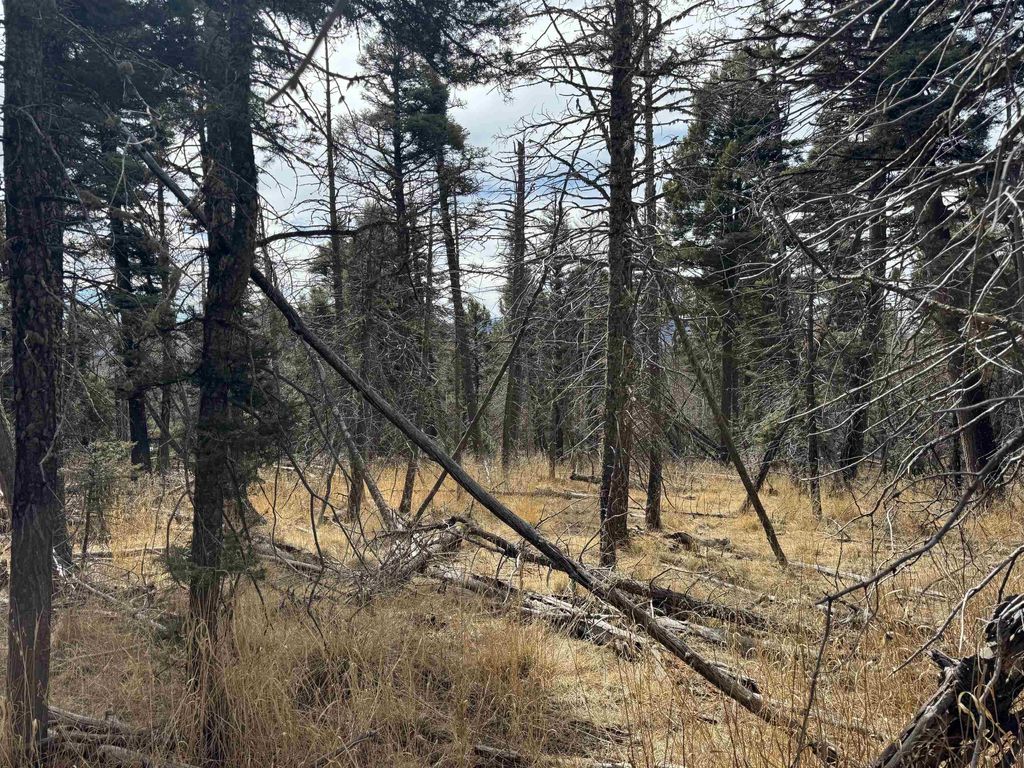 Photo of Lot 1356 Skyview Way, Angel Fire, NM 87710 (MLS # 114667)