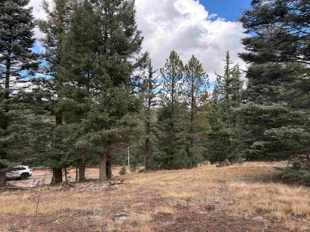 Photo of lot 484 San Mateo, Angel Fire, NM 87710 (MLS # 108831)
