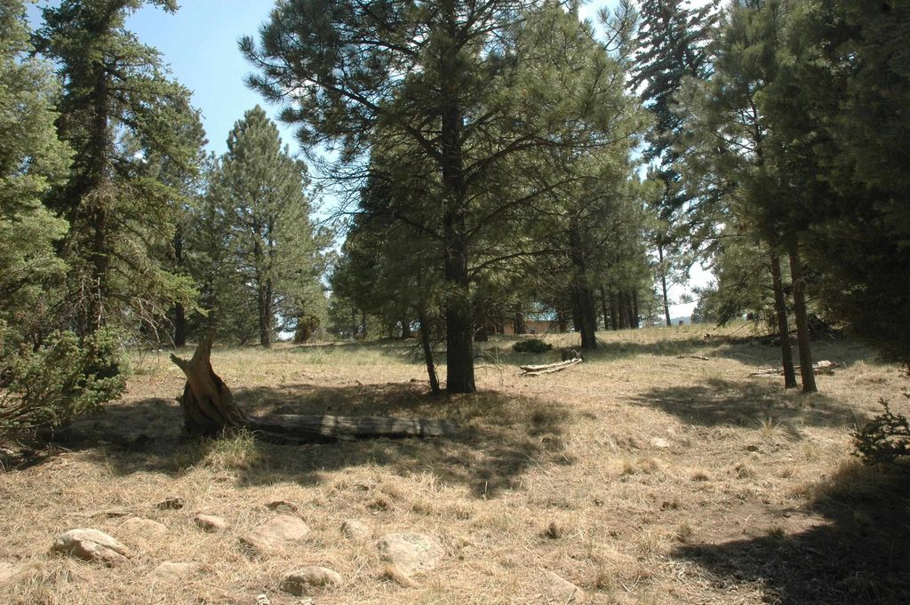 Photo of lot 484 San Mateo, Angel Fire, NM 87710 (MLS # 108831)