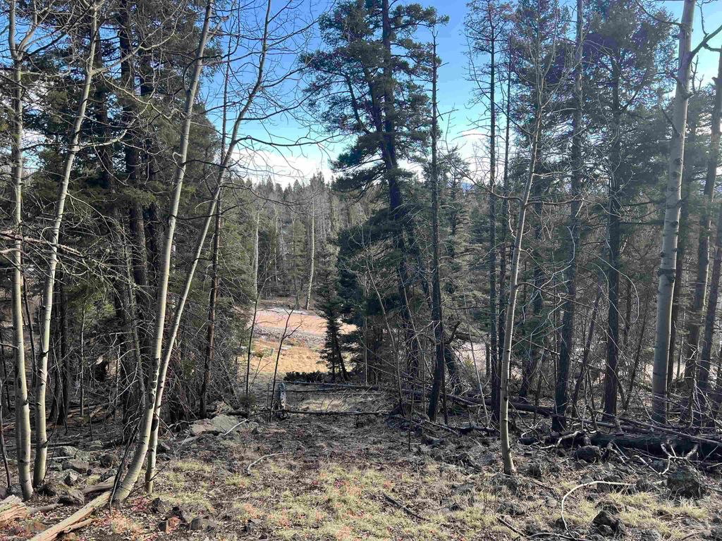 Photo of 1116 El Camino Real, Angel Fire, NM 87710 (MLS # 114675)