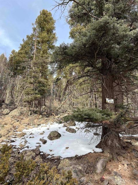 Vacant Land For Sale - 1116 El Camino Real<br/> Angel Fire, NM 87710