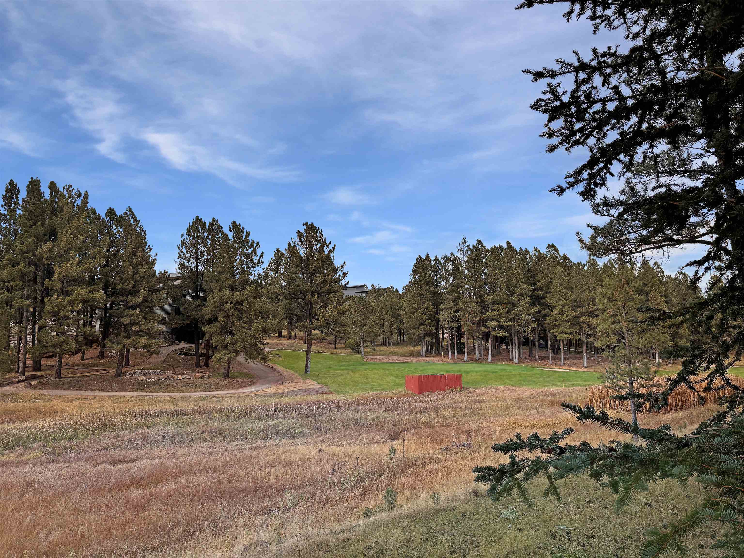 Lot 1133 Spyglass Hill Rd, Angel Fire, New Mexico image 5