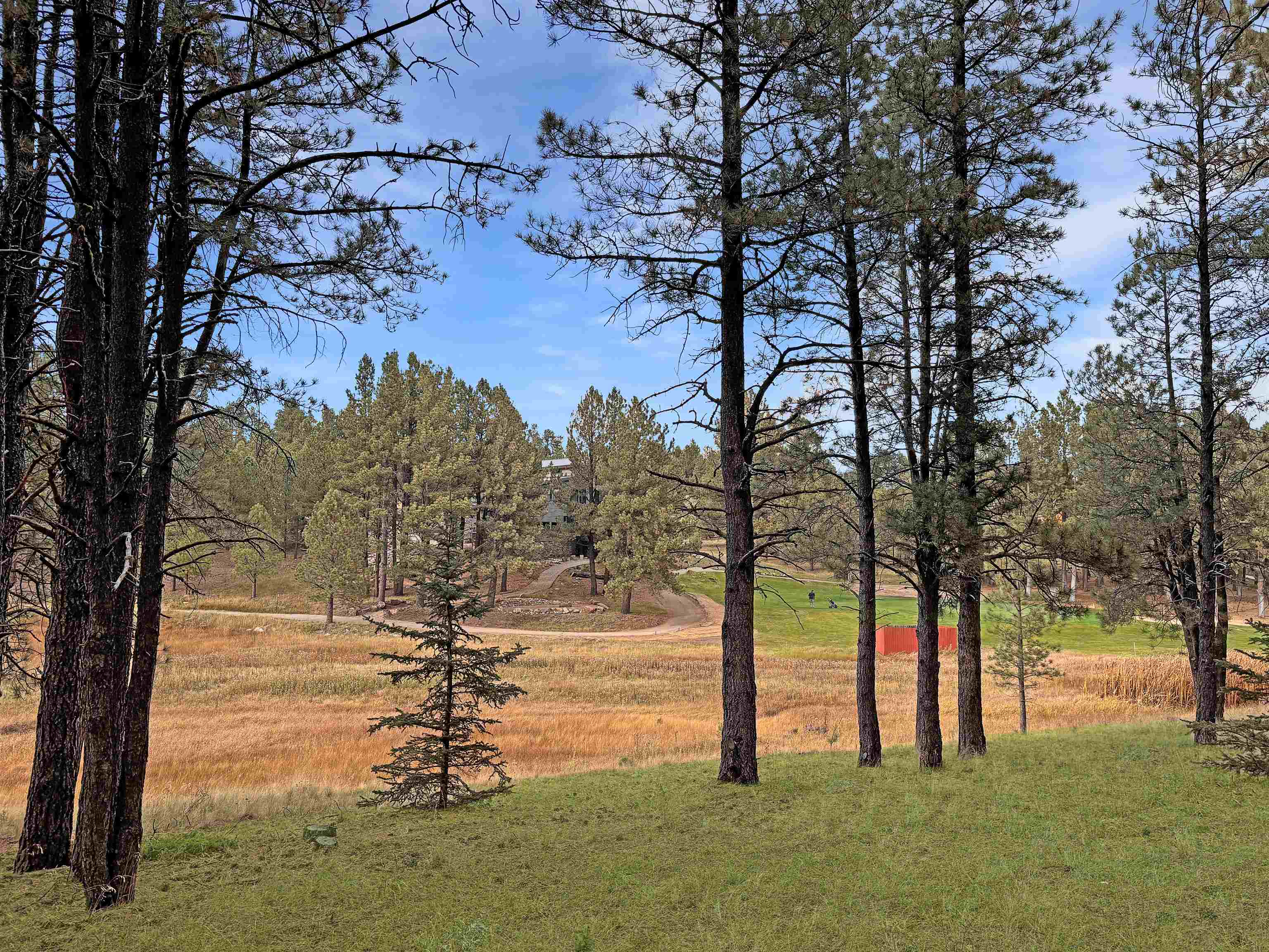 Lot 1133 Spyglass Hill Rd, Angel Fire, New Mexico image 4