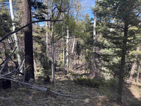 Vacant Land For Sale - LOT 45 Back Basin Rd<br/> Angel Fire, NM 87710